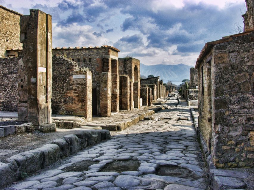 From Sorrento: Skip-the-Line Pompeii Tour and Vineyard Lunch - The Vineyard Stop After Pompeii: Views and Volcanic Wine Logic