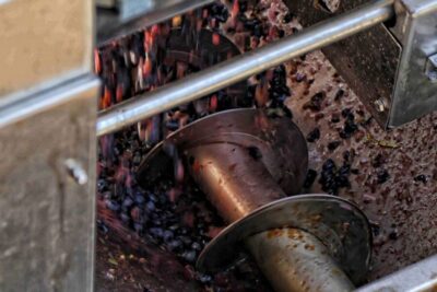 From Sorrento: Winery Tour, Tasting & Lunch - Starting in Sorrento: where you meet (and how to keep the timing simple)