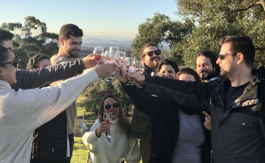 From Sydney: Hunter Valley Wine Tasting & Winery Picnic Tour - Quick Hits