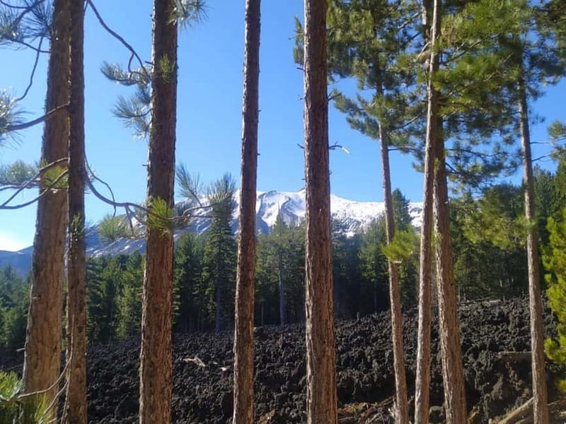 From Taormina: Etna Walking Tour and Wine Tasting in Winery - Taormina to Etna: the ride, the altitude, and the first big views