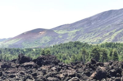 From Taormina: Etna Walking Tour and Wine Tasting in Winery - Reaching the 1,800–2,000 meter resort: what you can do before the hike