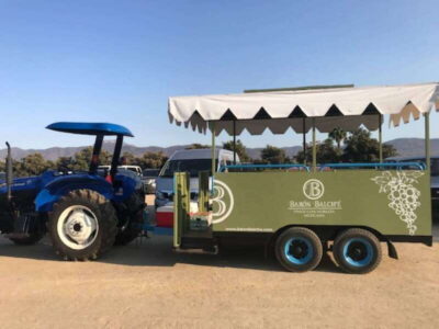 From Tijuana: Valle de Guadalupe Private Winery Tour - The winery route: what “two wineries” really means for your day