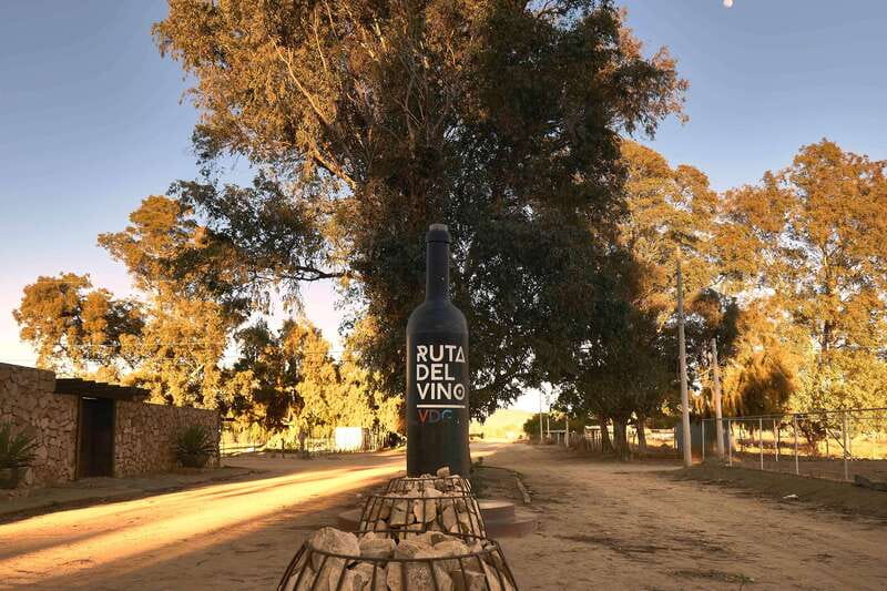 From Tijuana: Valle de Guadalupe Private Winery Tour - Lunch: pick your Baja Med spot and let the guide do the legwork