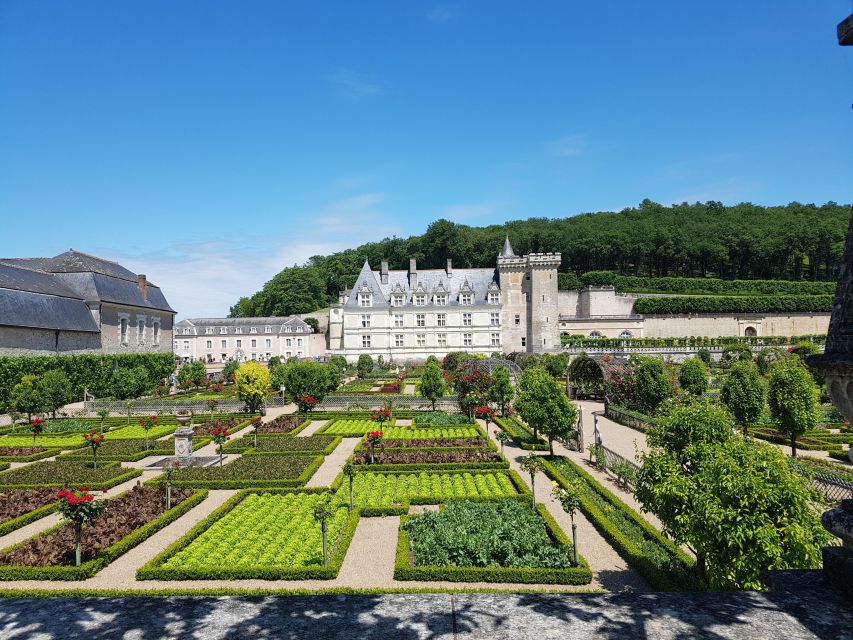From Tours: Villandry, Azay-le-Rideau & Local Wineries - Key highlights you will care about