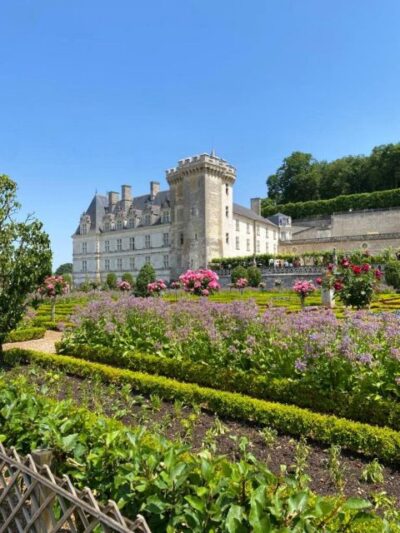 From Tours: Villandry, Azay-le-Rideau & Local Wineries - Château d’Azay-le-Rideau: the Renaissance castle you can read