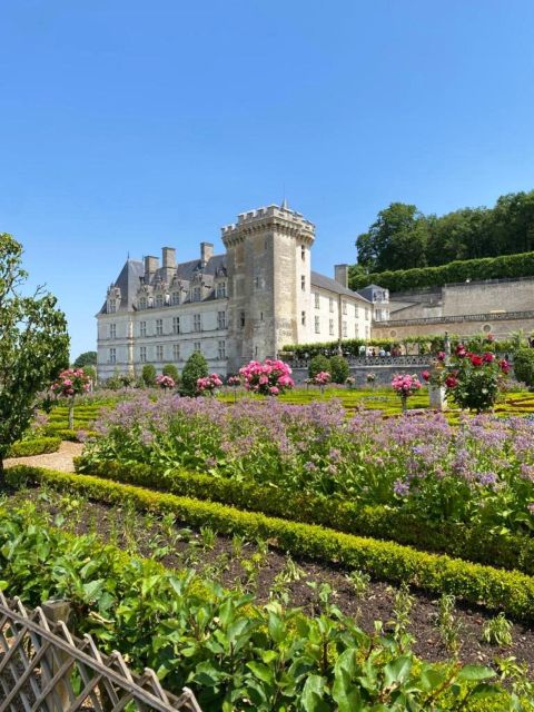 From Tours: Villandry, Azay-le-Rideau & Local Wineries - Château d’Azay-le-Rideau: the Renaissance castle you can read