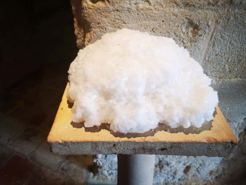 From Trapani: Salt Road Tour With Winery Visit and Boat Trip - Price and value: what $169.93 covers in the real world