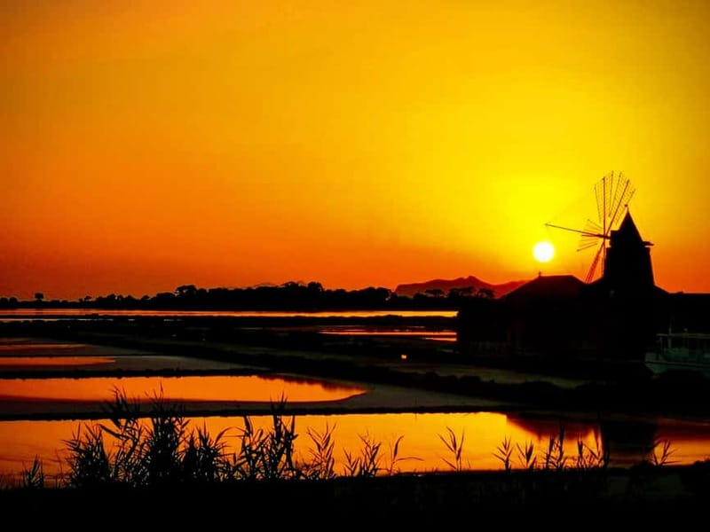 From Trapani: Salt Road Tour With Winery Visit and Boat Trip - Winery visit options: Donnafugata, Florio, Caruso, Pellegrino, Mininni