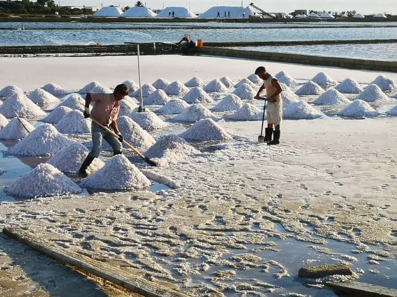 From Trapani: Salt Road Tour With Winery Visit and Boat Trip - Isole dello Stagnone: the boat cruise plus Motya’s open-air museum