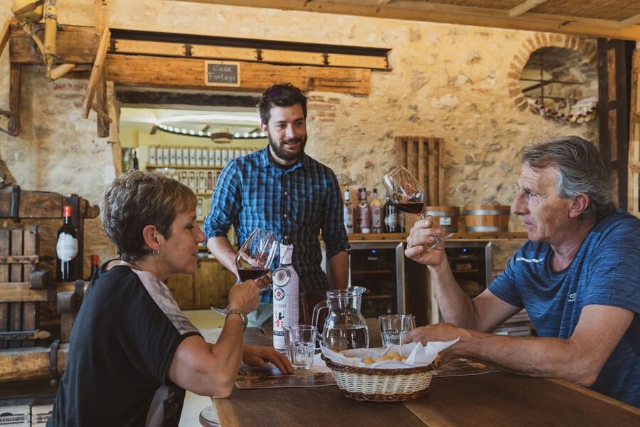 From Verona: Valpolicella Winery Tour with Amarone Vintages - Why this Valpolicella tour is about Amarone, not just drinking