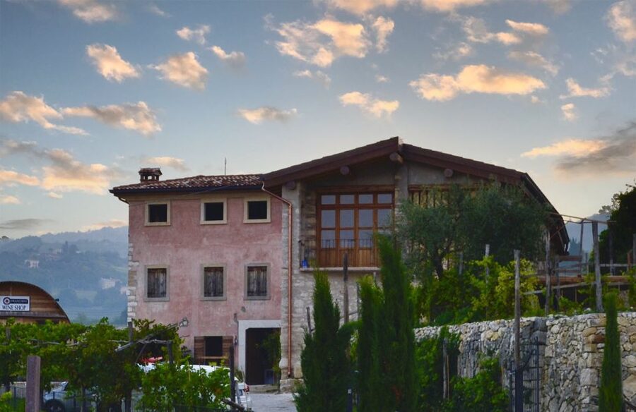 From Verona: Valpolicella Winery Tour with Amarone Vintages - Inside the winery: the icehouse aging room and the barrique cellar