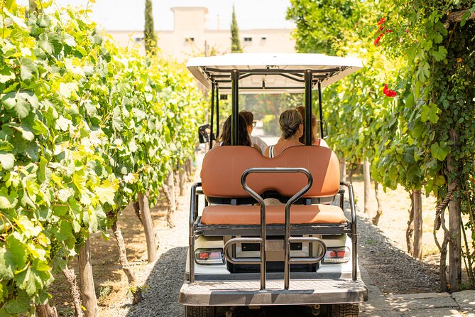 From Vineyard to Table: Wine Tasting & Neapolitan Lunch in Pompei - Key highlights you can count on