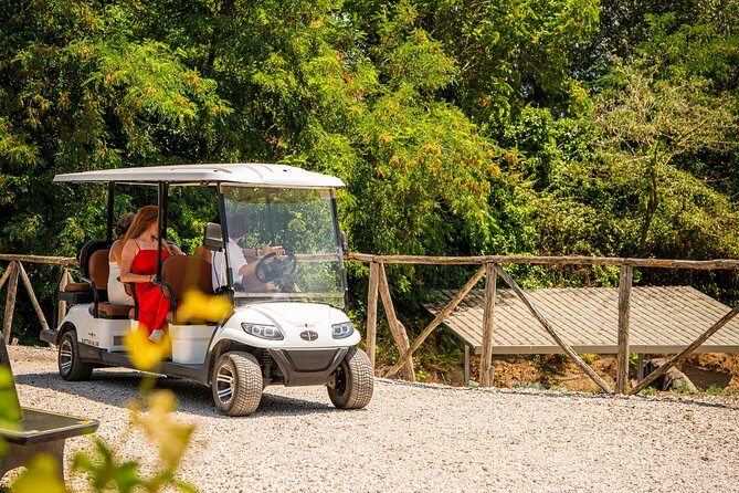 From Vineyard to Table: Wine Tasting & Neapolitan Lunch in Pompei - The Bosco de’ Medici Estate Tour: Farmhouse to Necropolis