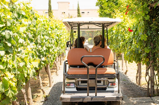 From Vineyard to Table: Wine Tasting & Neapolitan Lunch in Pompei - The Neapolitan Lunch: A Real Food Lineup, Not Just Snacks