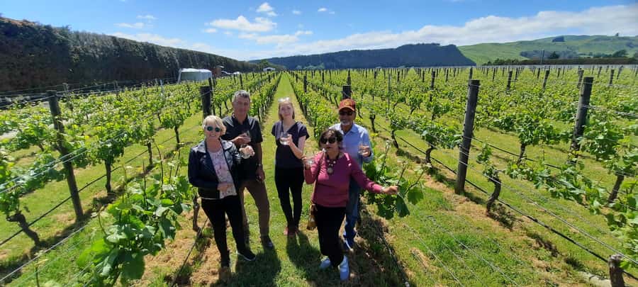 From Wellington: Martinborough Winery Tour - Key points at a glance