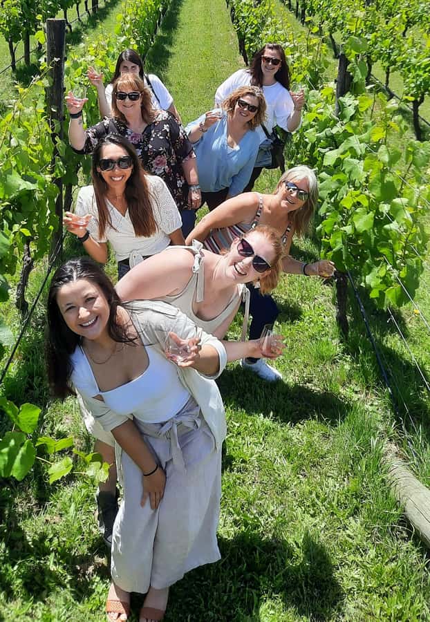 From Wellington: Martinborough Winery Tour - Martinborough in 5.5 Hours: Why This Format Works