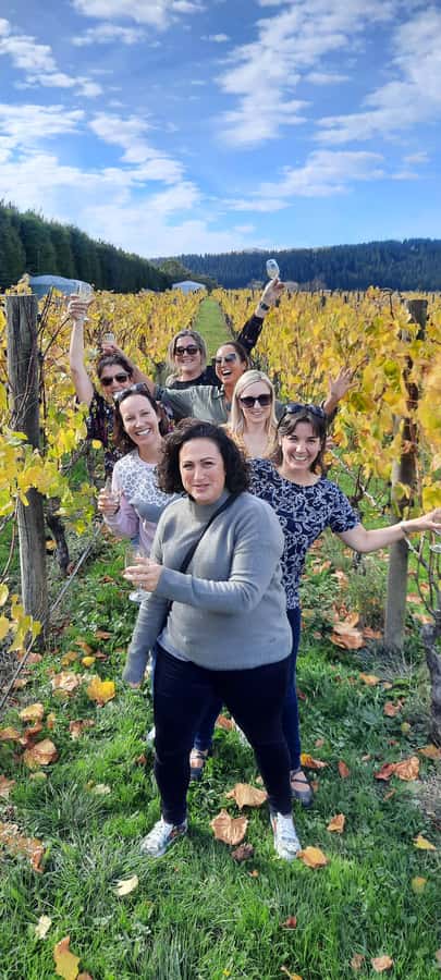 From Wellington: Martinborough Winery Tour - Picking the Right Cellar Door: What the Three Stops Feel Like