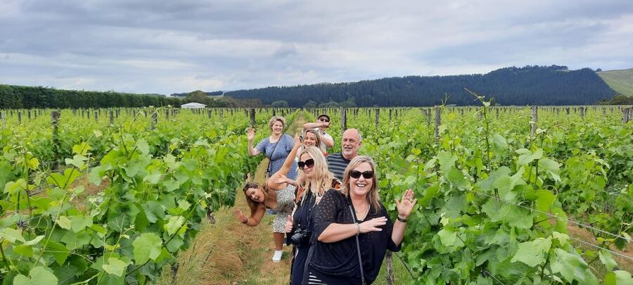 From Wellington: Martinborough Winery Tour - Pace, Timing, and How to Make It Enjoyable Instead of Tiring