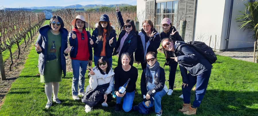 From Wellington: Martinborough Winery Tour - Who This Tour Suits Best (and Who Might Want Another Option)