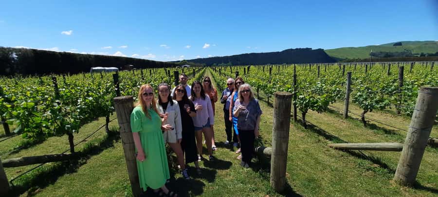 From Wellington: Martinborough Winery Tour - What to Bring and How to Prepare So You Don’t Get Stuck