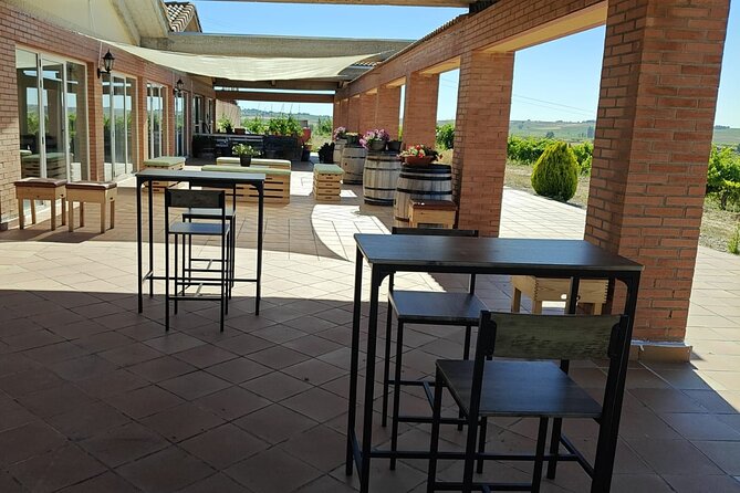 Full day at the winery, visit, tasting, aperitif and lunch - The 3-wine tasting: variety across Bodegas Durón estates