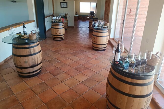Full day at the winery, visit, tasting, aperitif and lunch - Lunch at the dining room-viewpoint with Crianza pairing