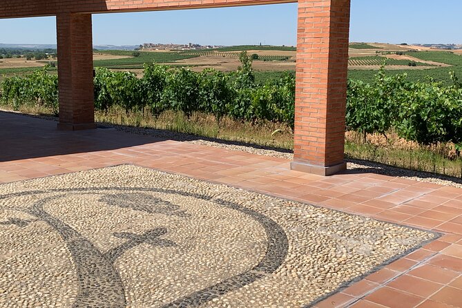 Full day at the winery, visit, tasting, aperitif and lunch - What’s actually included: 3 wines, aperitif, and a set lunch