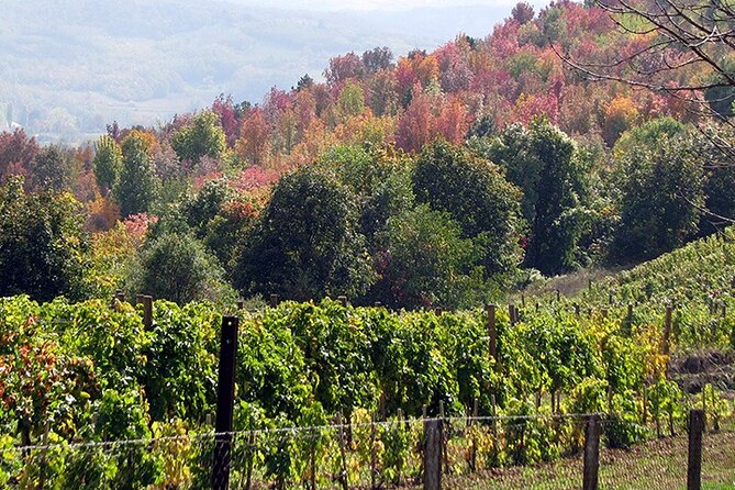 Full-Day Private Royal Heritage Tour to Oplenac With a Winery Visit - Optional Royal Winery at Oplenac: Aleksandrović Traditions and Tasting Questions