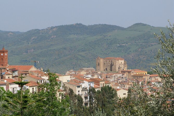Full Day Private Tour in Medieval Villages and Vineyard in Cefalù - Stop 4: Castelbuono’s main street, manna shops, and what manna really is