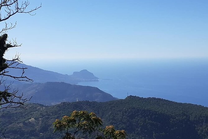 Full Day Private Tour in Medieval Villages and Vineyard in Cefalù - The vineyard part: how wine tasting and lunch can be added