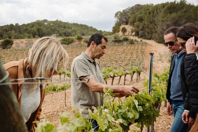 Full-Day Trip Barcelona to Montserrat Monastery & Cava Winery - Wine tastings without the chaos: staying comfortable with the pacing