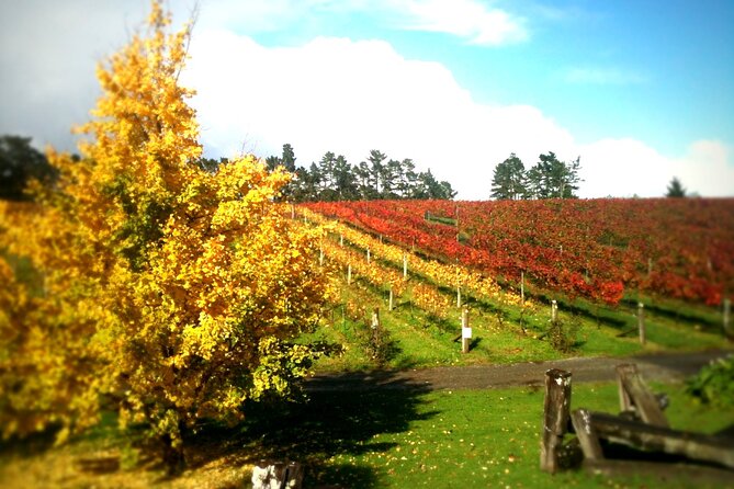 Full-Day Wine Tasting Tour in Auckland with 3-Course Vineyard Lunch - The fourth winery stop and how the Kumeu Trail strings it together