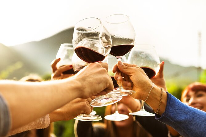 Full-Day Wine Tasting Tour in Auckland with 3-Course Vineyard Lunch - The guide: David’s mix of wine and Auckland context