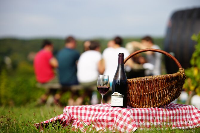 Full Day Wine Tour in Vouvray and Chinon with LUNCH at the winery - Vouvray, Bourgueil, and Chinon in One Solid Day