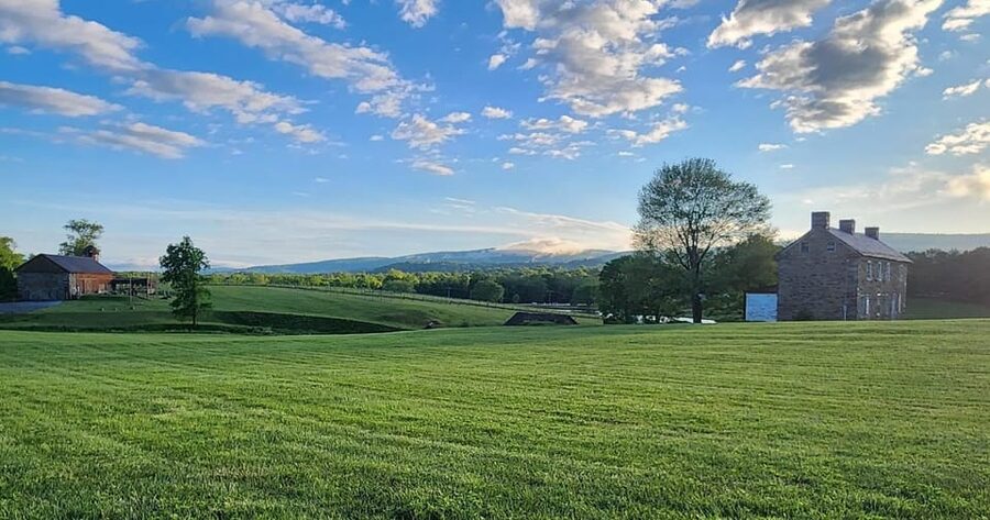 Full Day Winery Tour from Metro DC & Leesburg - 3 Wineries - Quick Tips to Make Your Day Go Smoothly