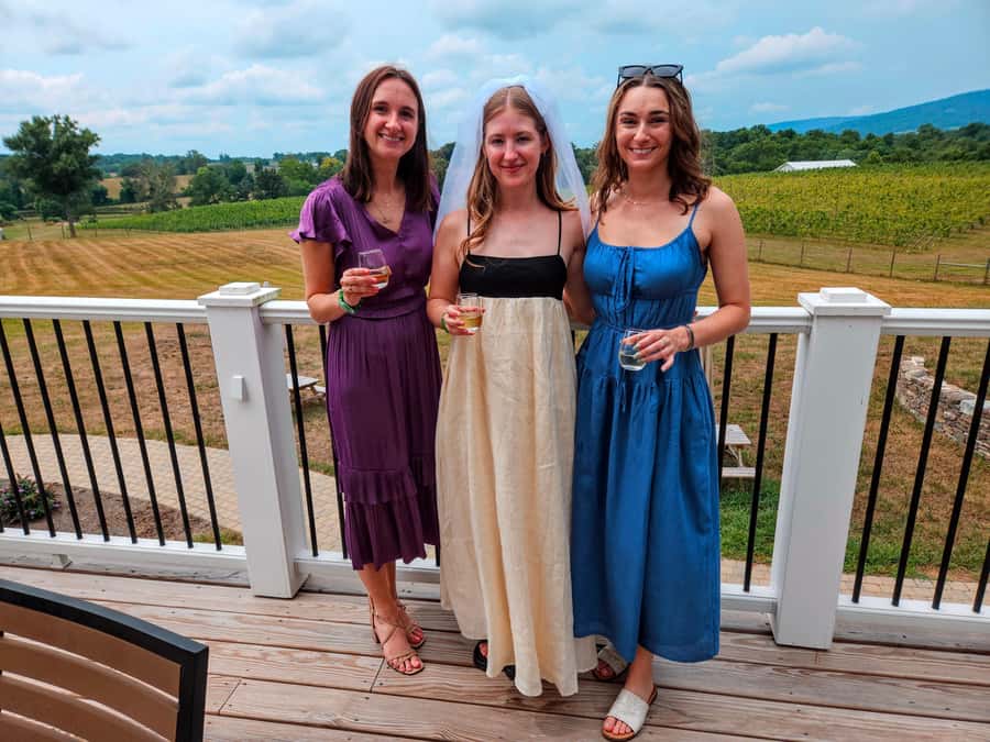 Full Day Winery Tour from Metro DC & Leesburg - 3 Wineries - The 7-Hour Flow: From Pickup to Three Winery Stops