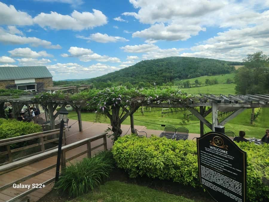 Full Day Winery Tour from Metro DC & Leesburg - 3 Wineries - What the Certified Guide Adds (and Why It Matters)