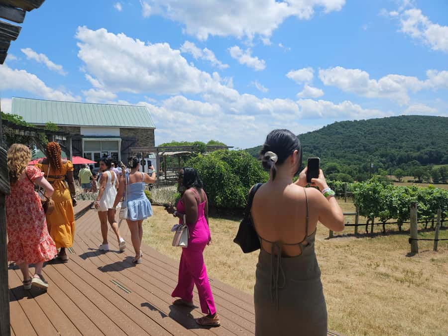Full Day Winery Tour from Metro DC & Leesburg - 3 Wineries - Discounts, Extras, and How to Turn Tastings into a Smart Purchase