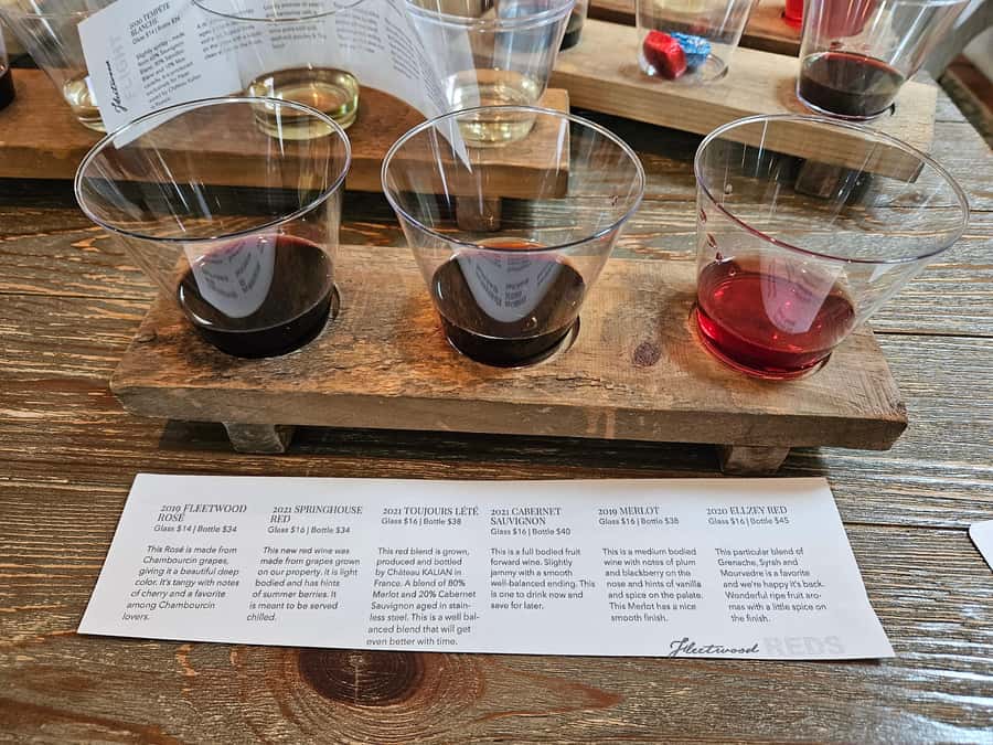 Full Day Winery Tour from Metro DC & Leesburg - 3 Wineries - Who This Tour Fits Best (and Who Might Want to Skip It)