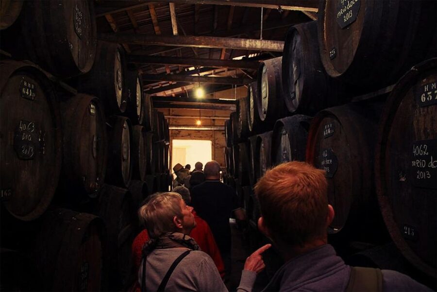 Funchal: H.M. Borges Winery Guided Tour with Wine Tasting - Key things worth knowing before you go