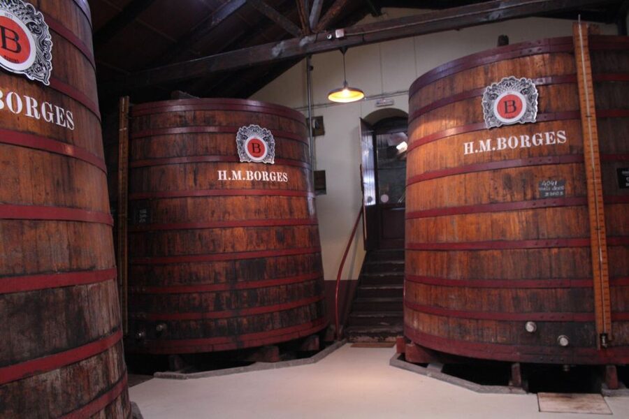Funchal: H.M. Borges Winery Guided Tour with Wine Tasting - What you actually learn about Madeira here