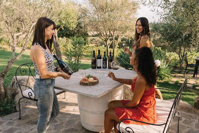 Gallura Winery with Wine Tasting in Olbia - The 90-Minute Flow: Vineyard Views, Aperitif, and Pairings