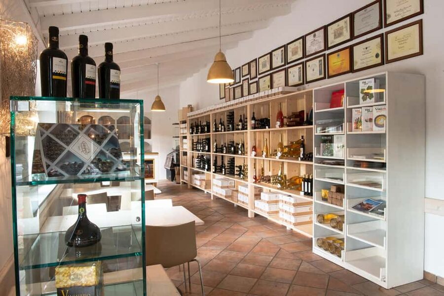 Gandosso: visit to the winery and Valcalepio wine tasting - Valcalepio tasting: four wines, plus Bergamo comfort food