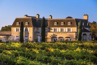 Giant Redwoods Tour Including a 5-Course Winery Lunch - 8:00 AM pickup and how the drive sets the tone