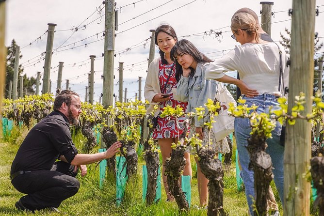Gibbston Valley Wines - Winery Tour - Getting There: State Highway 6 and a Straightforward Start