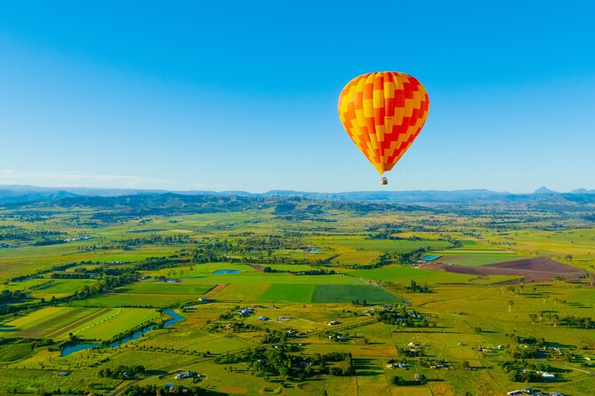 Gold Coast Hot Air Balloon + Winery Breakfast + Return Transfers - Winery cellar door and wine tasting at Canungra: how it fits