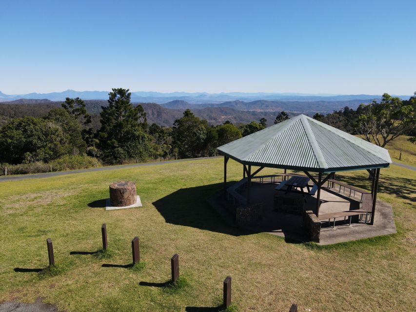 Gold Coast: Lamington Treetops, Wildlife and Vineyard Visit - Price and Value: Is $91 a Fair Deal for a 7-Hour Day?