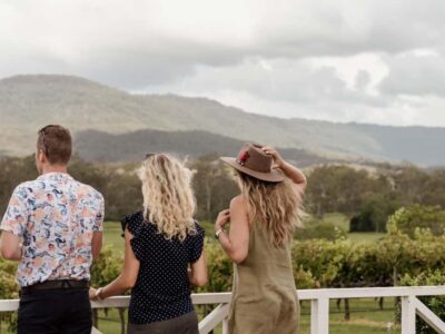Gold Coast: Tamborine Mountain Local Winery Tour with Lunch - Pickup, pace, and why the van matters