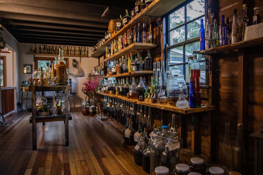 Gold Coast: Tamborine Mountain Local Winery Tour with Lunch - Witches Falls Winery and the optional cheese pairing
