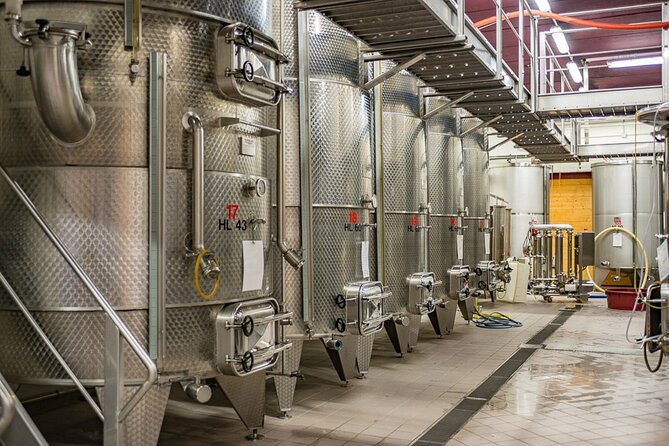 GOLD EXPERIENCE - Winery tour & tasting at Villa Corniole - The four-wine tasting: Metodo Classico Trentodoc plus mountain varieties